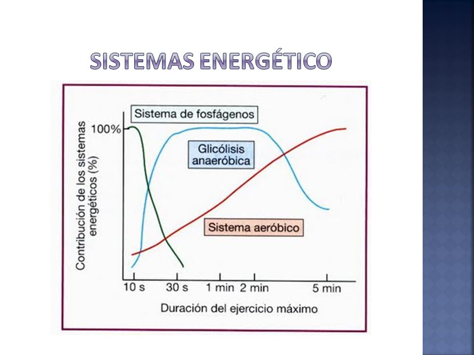 Sistemas energeticos en el voleibol